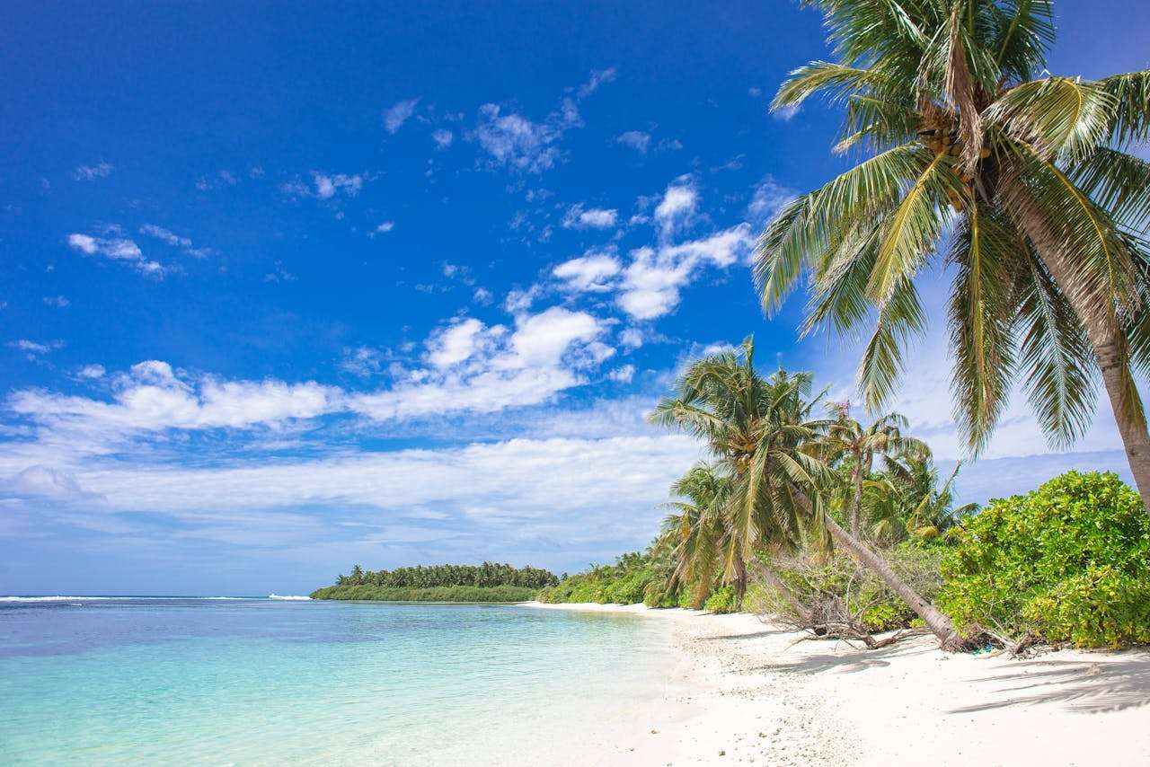 我的暑假计划：初中英语未来计划类作文4篇