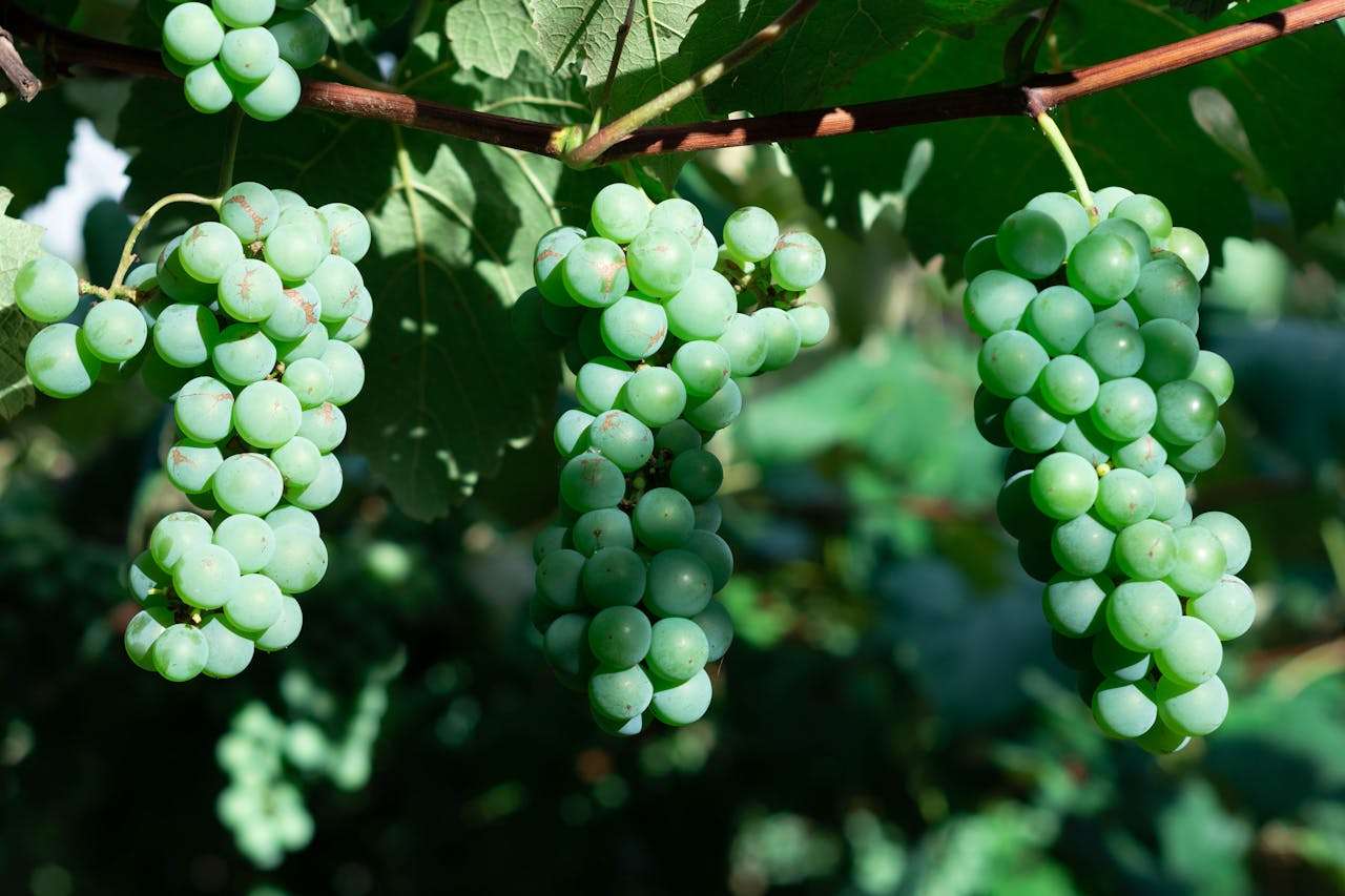 我的好朋友：3篇初中英语作文+友情话题写作指南