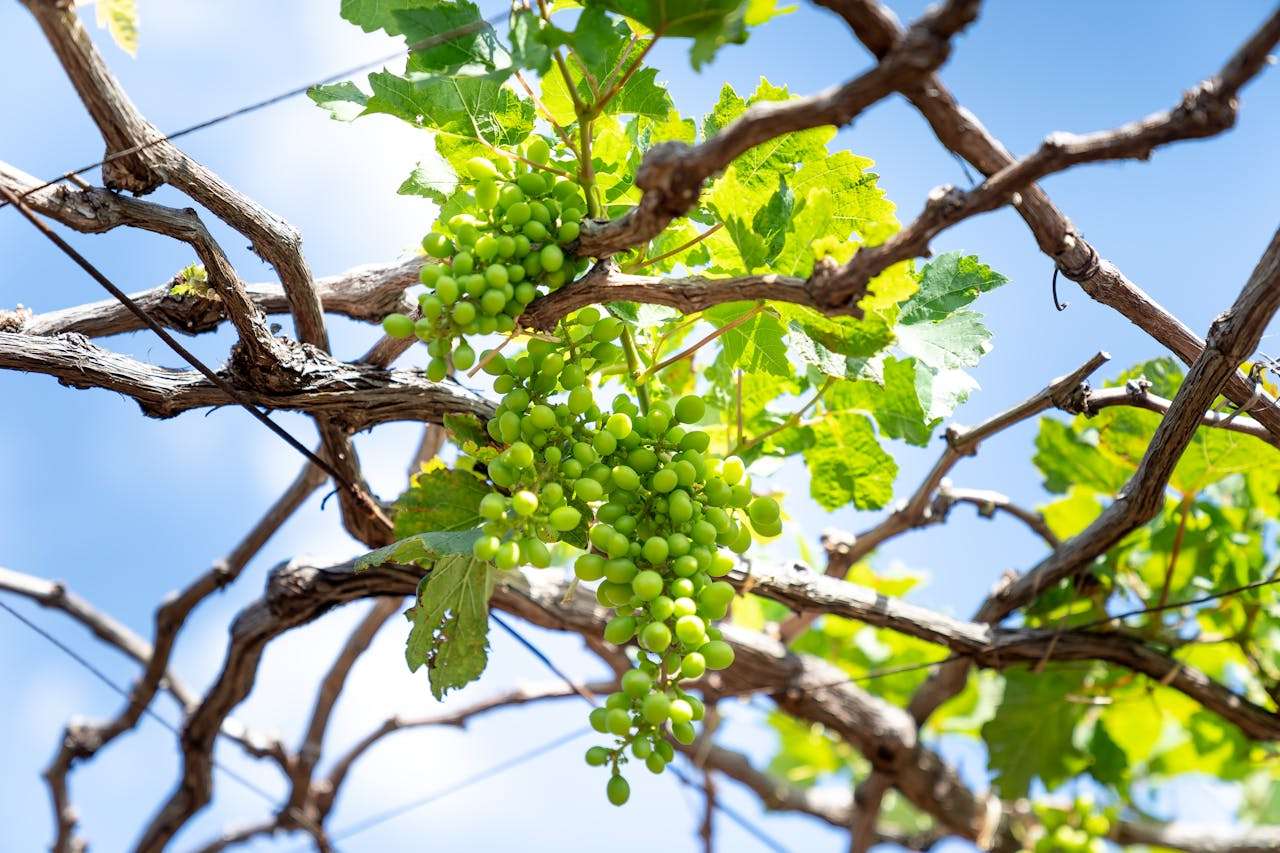 我的假期生活：5篇初中英语作文+实用表达汇总