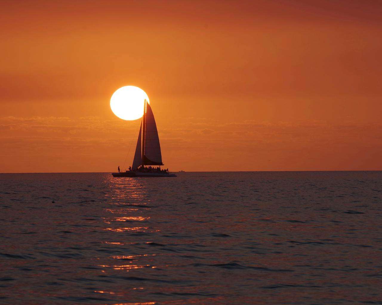 建立长期合作：8个英文客户维护邮件模板，增强客户粘性