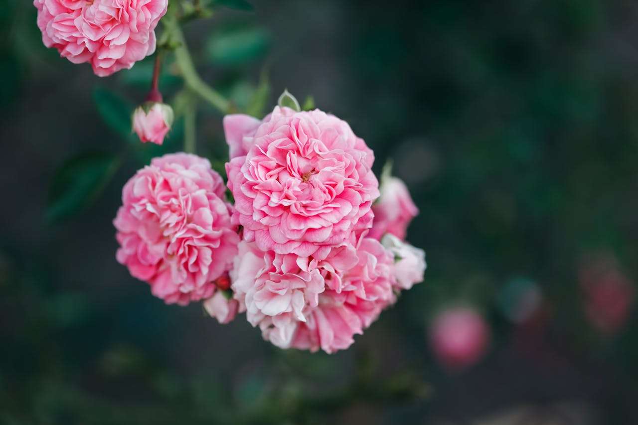 小学英语作文实用模板：5篇“我的一天”英语作文+翻译+时间表达学习