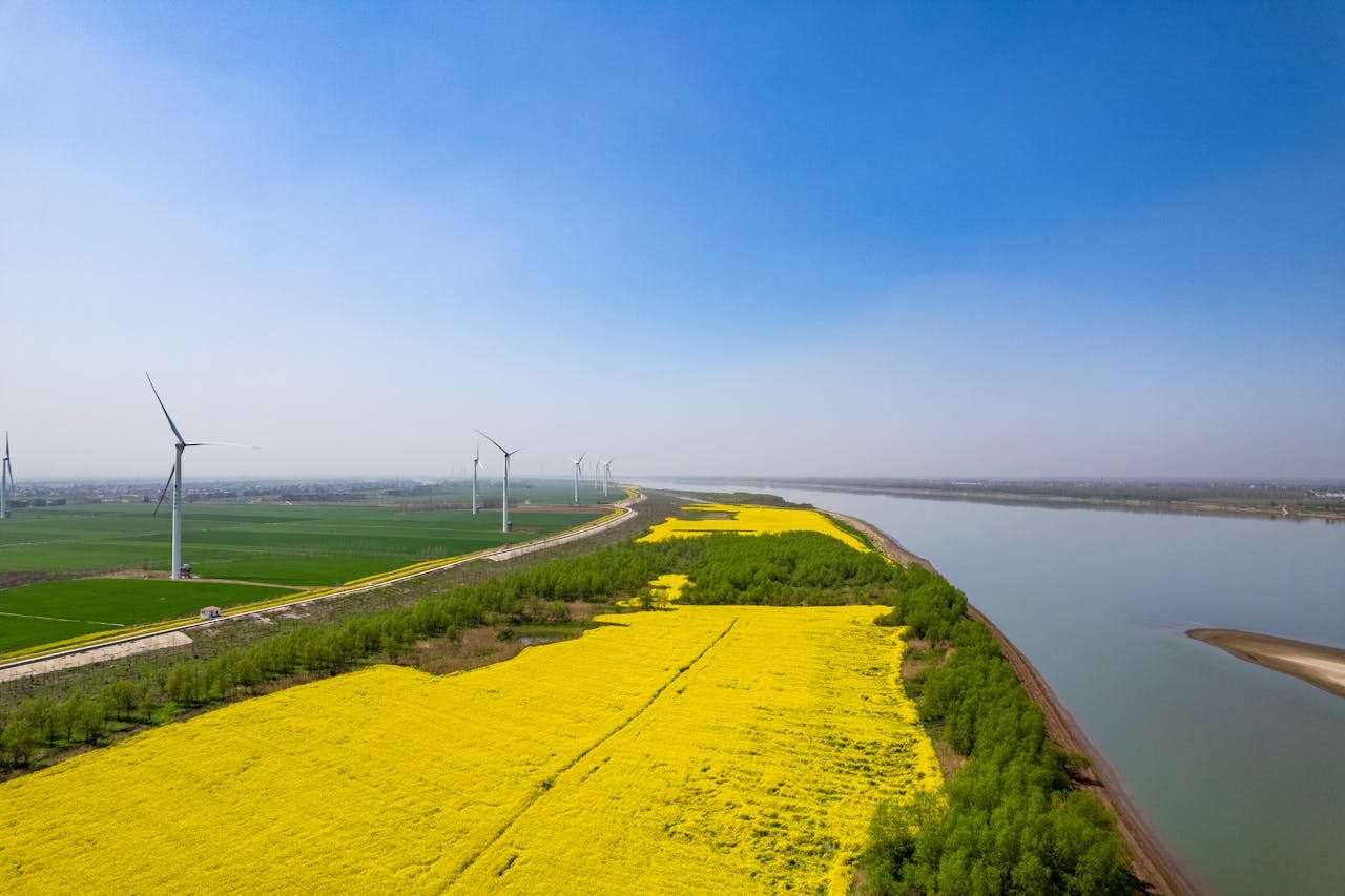 环保小卫士：5篇小学生英语作文教你写保护地球的主题