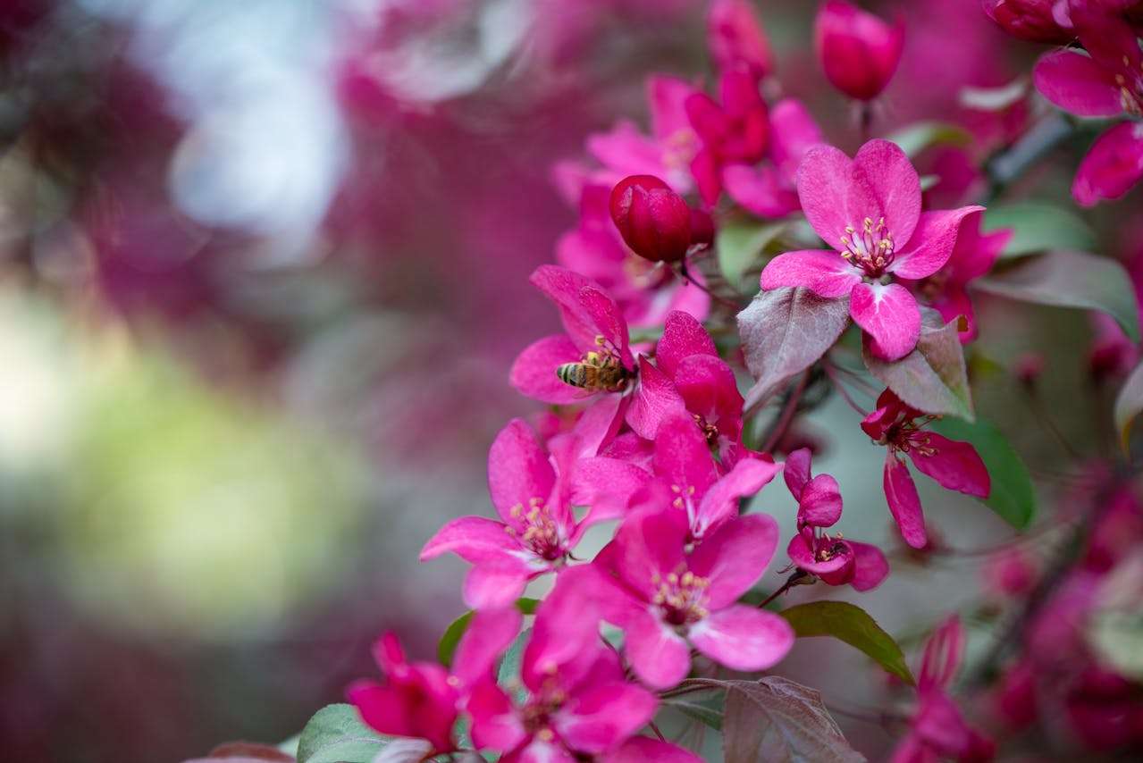 校园生活英语作文5篇：课间活动、老师、同学全涵盖