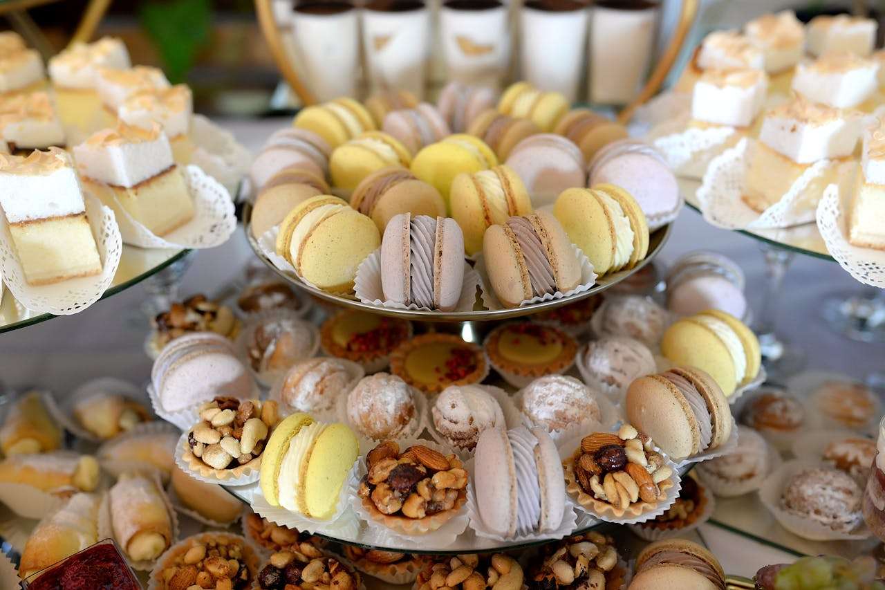 小学英语写作入门：5篇最常用主题作文+中文对照