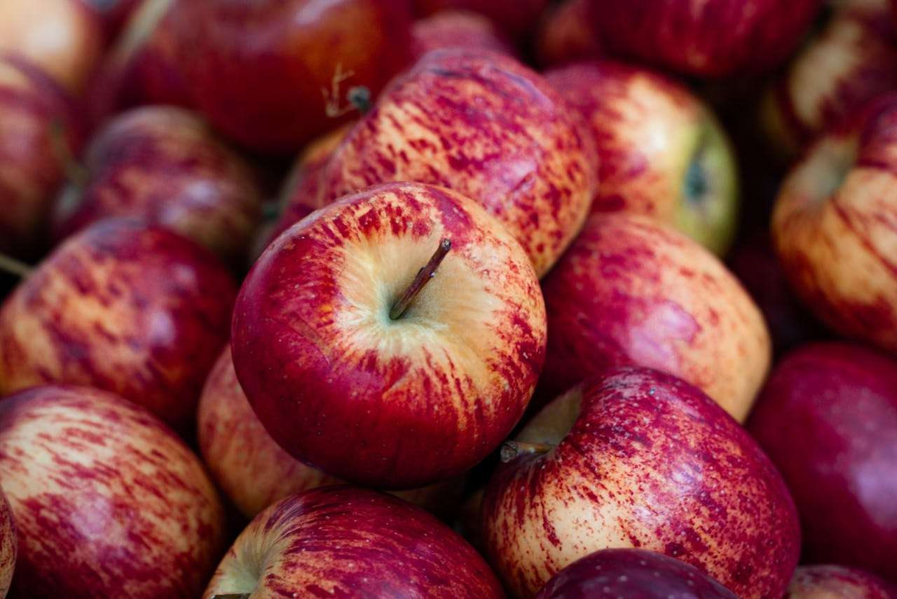 我喜欢的食物：5篇小学英语作文（中英对照+词汇拓展）