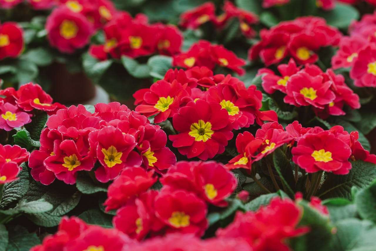 写人作文不难：我最喜欢的老师英语作文5篇（附点评）