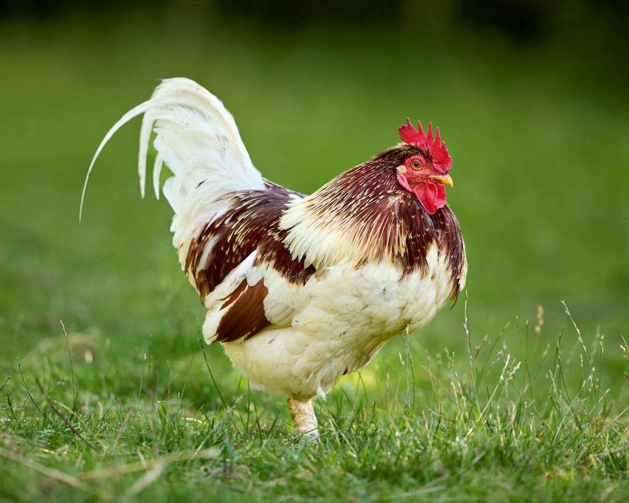 小学生必看：我的暑假生活英语作文3篇（含翻译与点评）