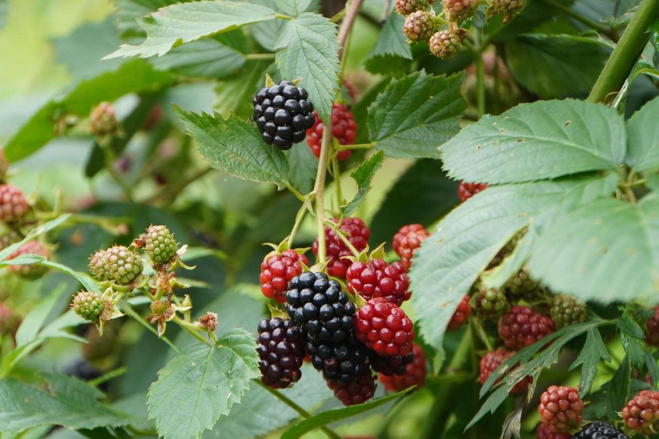 一次难忘的经历英语作文怎么写？小学英语作文3篇+翻译与写作技巧