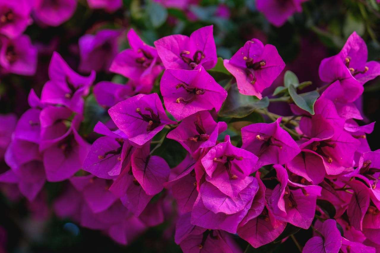 小学生英语作文精选：我的老师英语作文3篇（中英对照+写作指导）