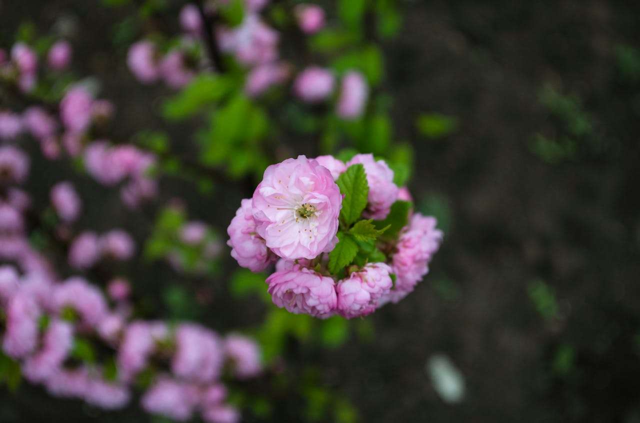 小学英语作文一次有趣的旅行：4篇精彩英语作文+场景描写技巧