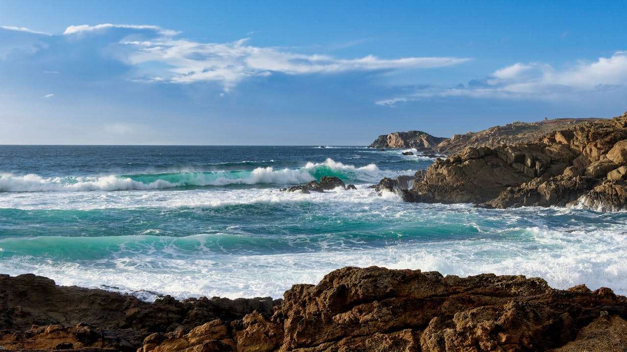 环保从小做起：我爱地球英语作文5篇（带翻译与重点）