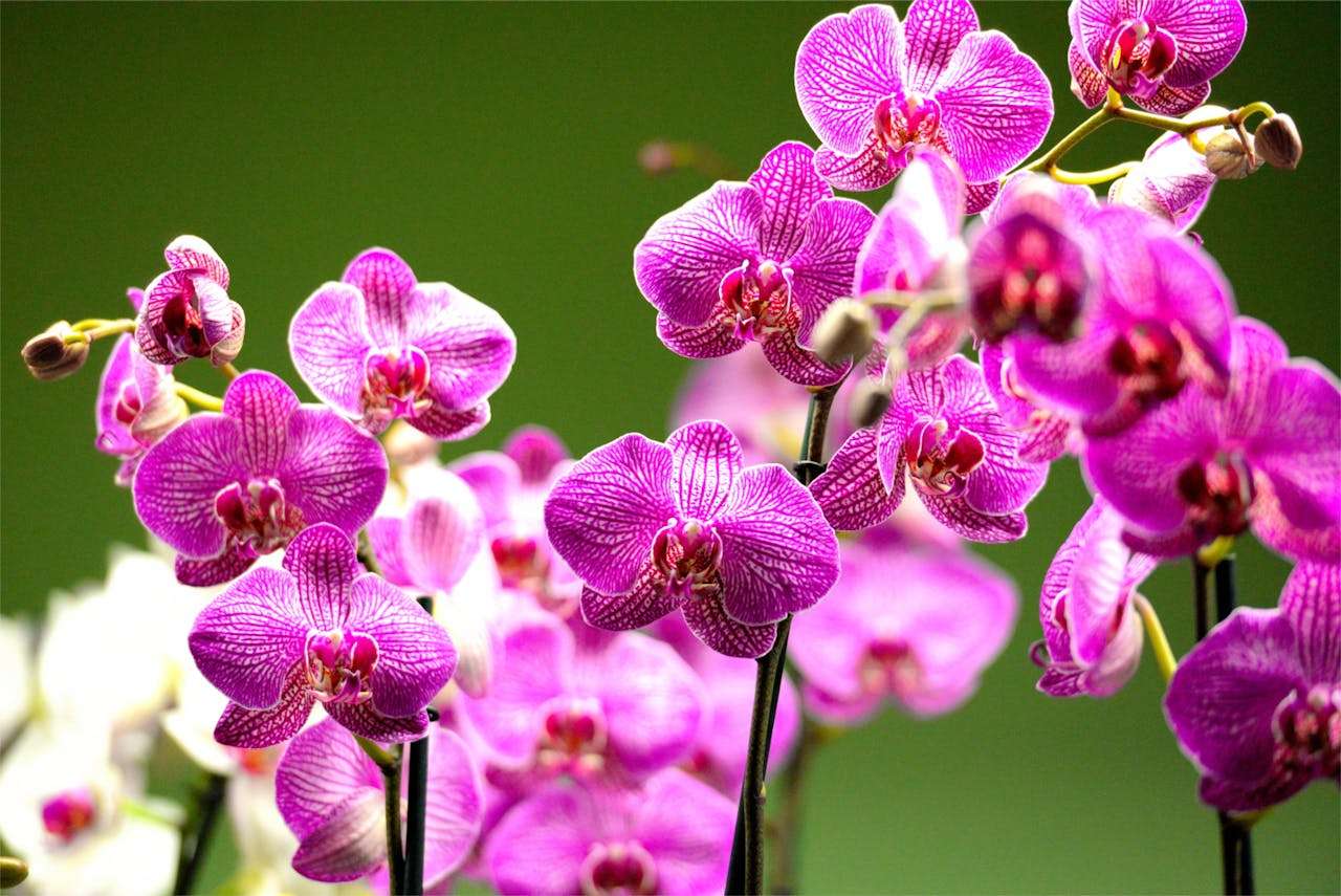 校园生活英语作文：我的一天英语作文3篇（从早到晚全记录）