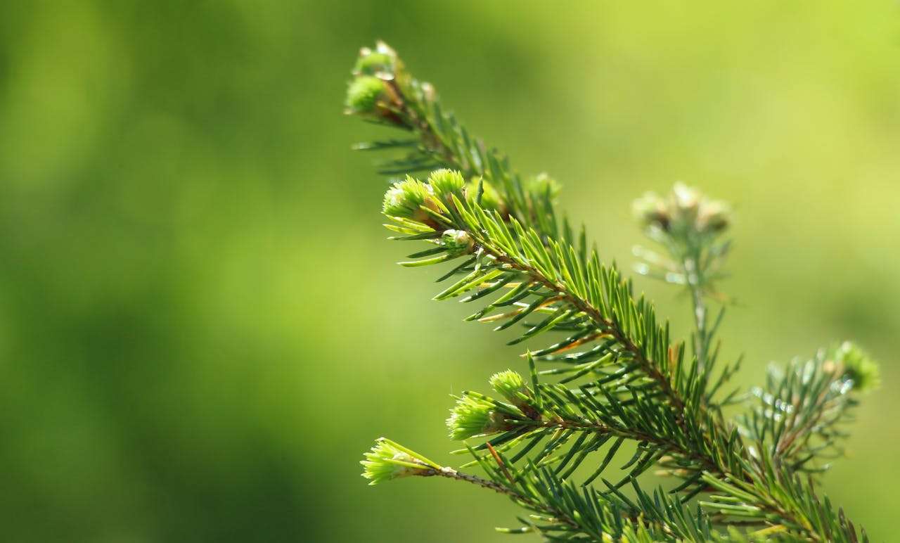 客户投诉怎么回？6个英文售后沟通邮件模板化解危机赢信任