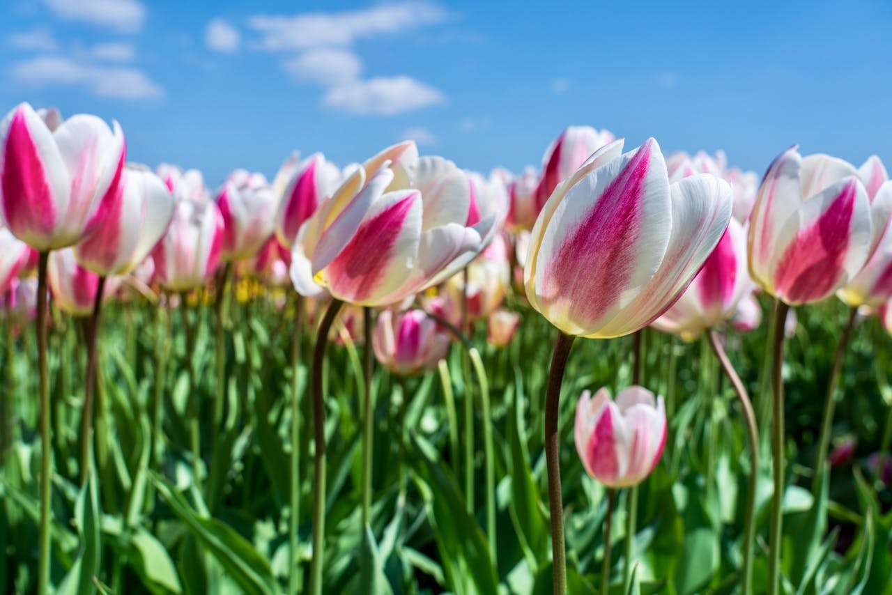 客户迟迟不回？7个高回复率跟进邮件模板帮你破局