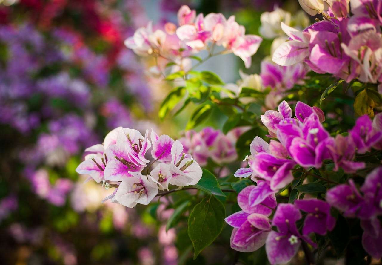 新手上路不慌张：8个基础商务英语邮件模板全解析