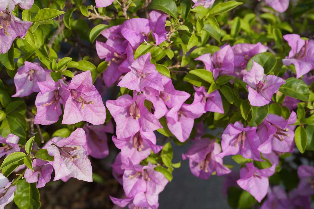 建立长期合作：8个英文客户维护邮件模板推荐