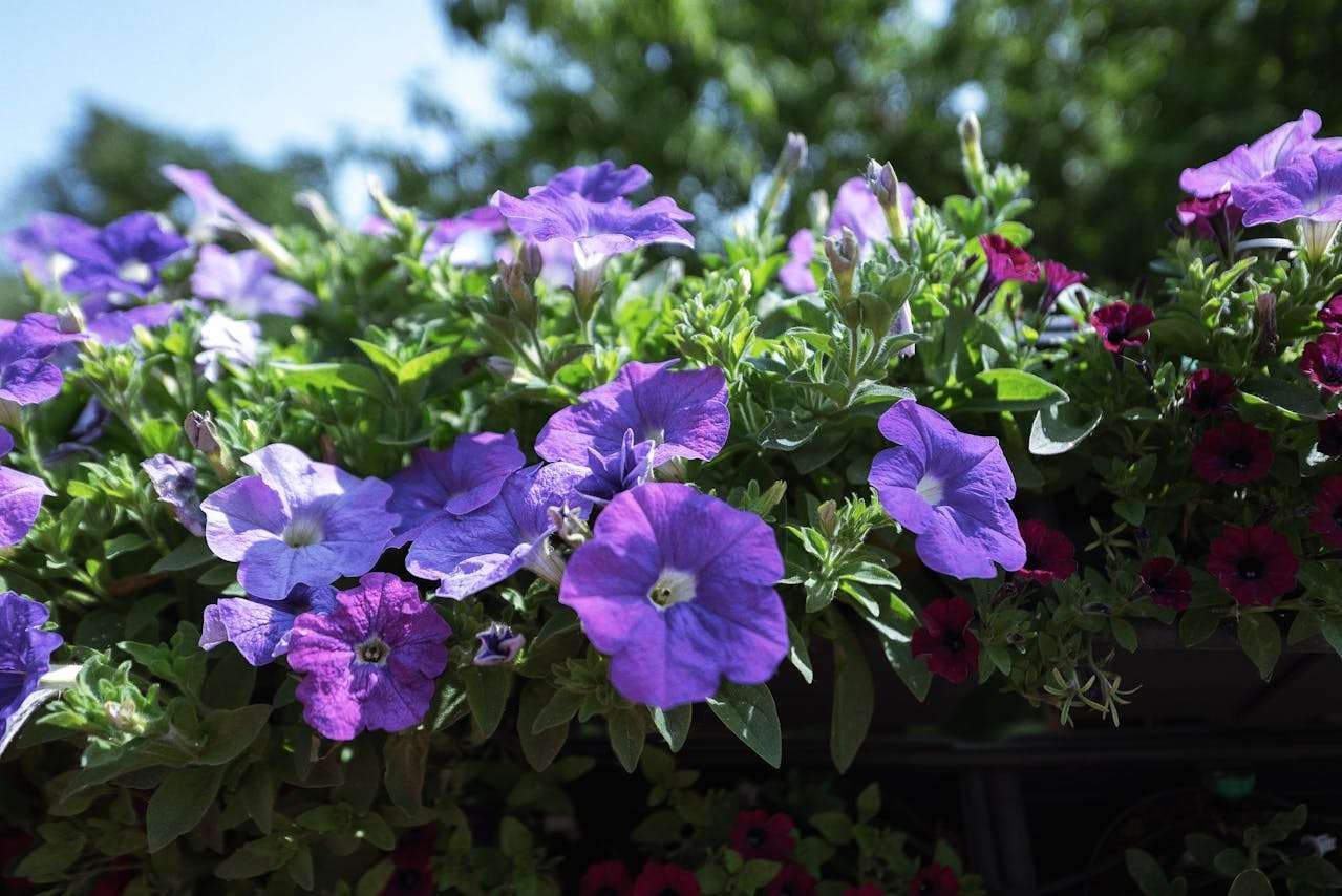 外贸人必备：10个高频英文邮件模板，轻松应对客户沟通全流程