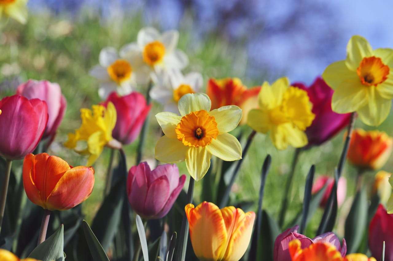 订单跟进建议收藏：9个英文订单确认与提醒邮件模板