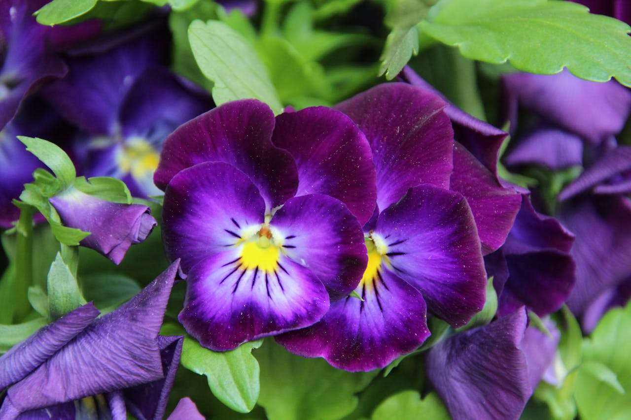 合作终止也能体面收场：7个英文终止合作邮件模板