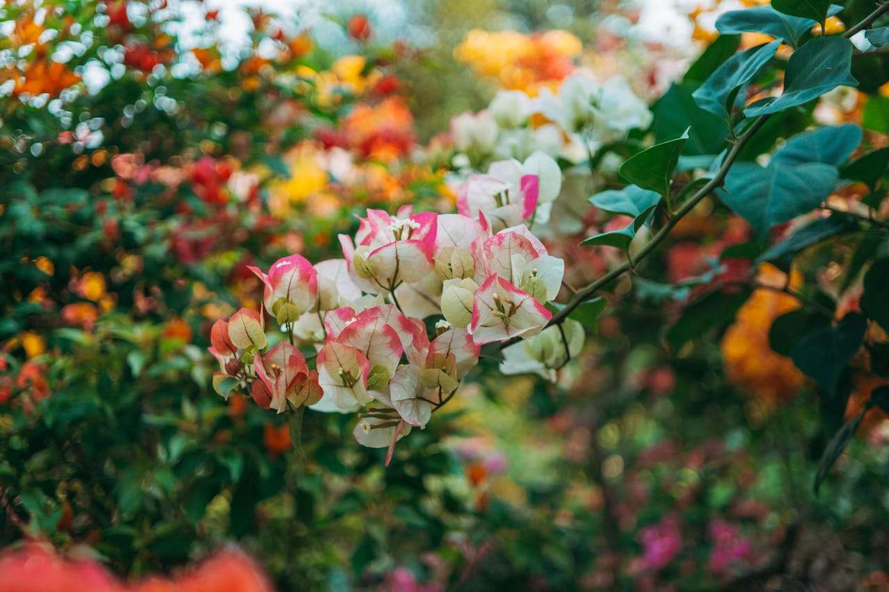 拿下订单的关键：7个英文还价与谈判邮件模板（附应对策略）