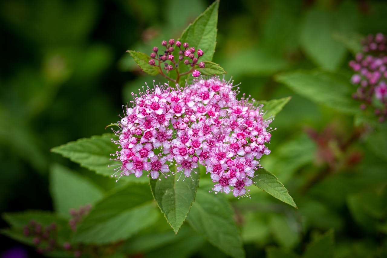 小学英语看图写话：我的一天英语作文3篇（适合初学者）