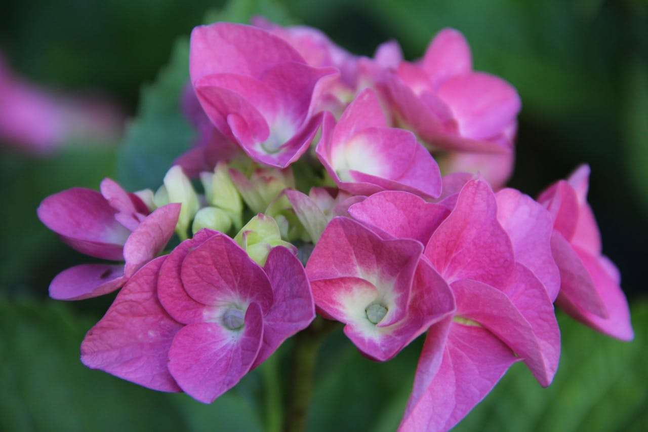 小学英语写作入门：我的学校英语作文5篇（带翻译+重点解析）