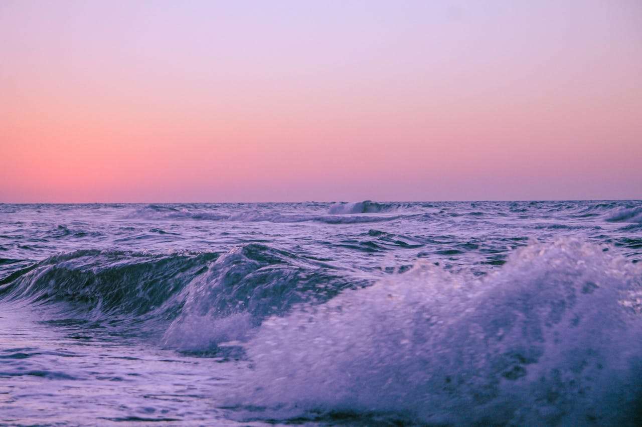 自然与环保！爱护地球小学英语作文5篇（带翻译）