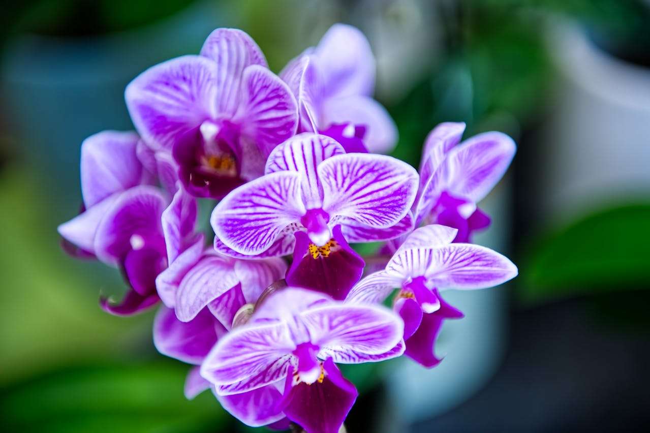 我的一天怎么写？5篇小学英语作文教你描述日常生活