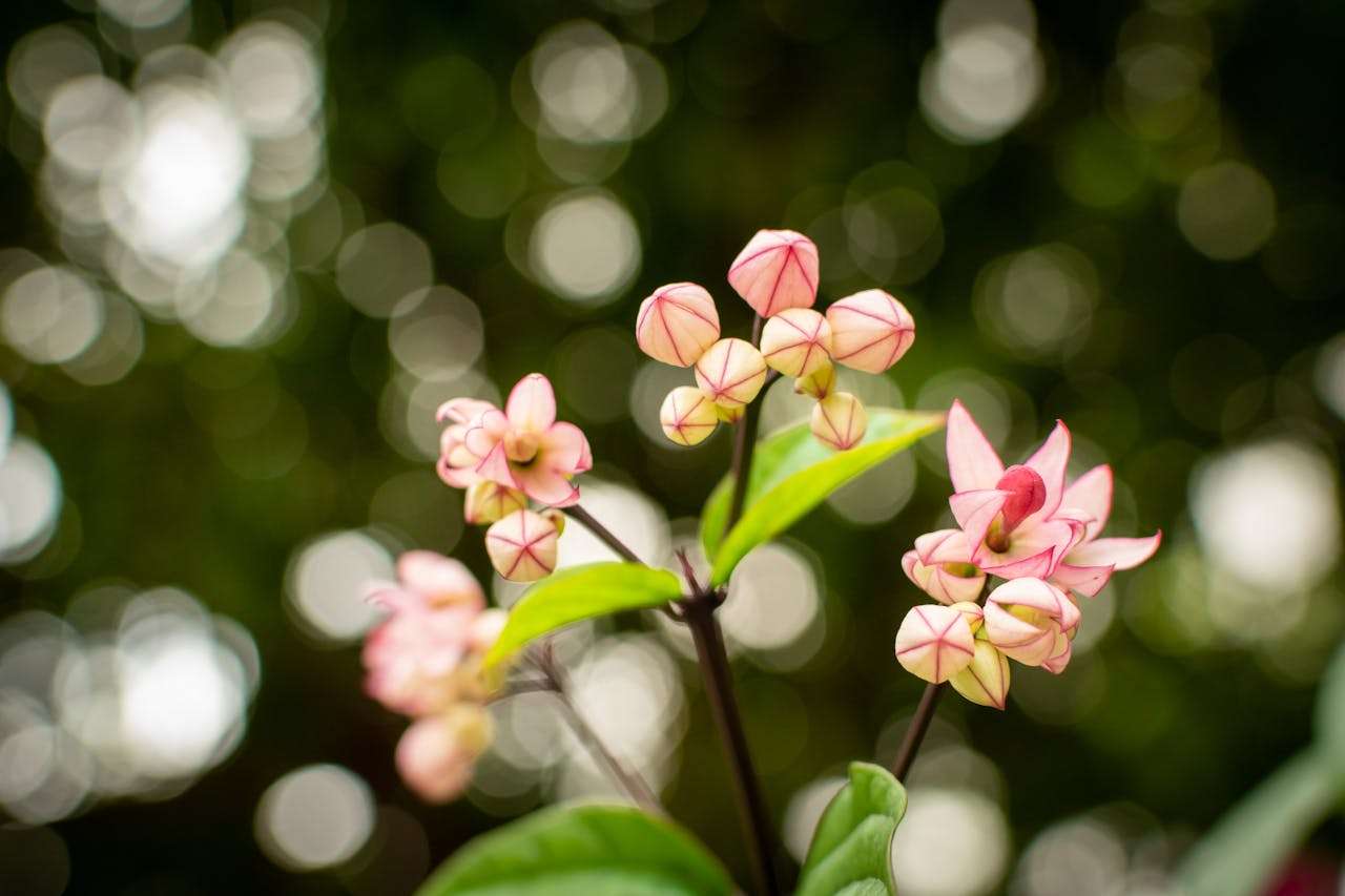 我的家庭怎么写？5篇小学英语作文教你轻松拿高分