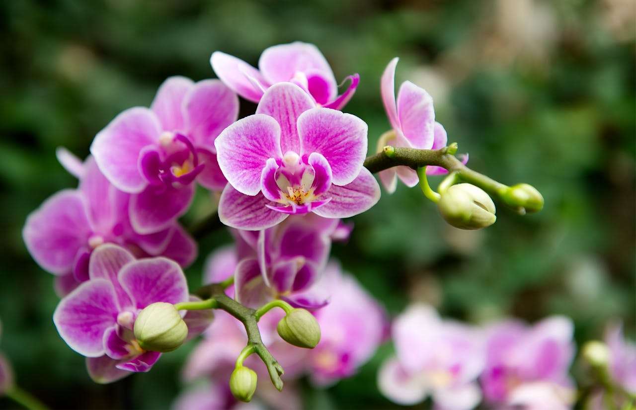 四季与天气：5篇描写自然的小学英语作文 