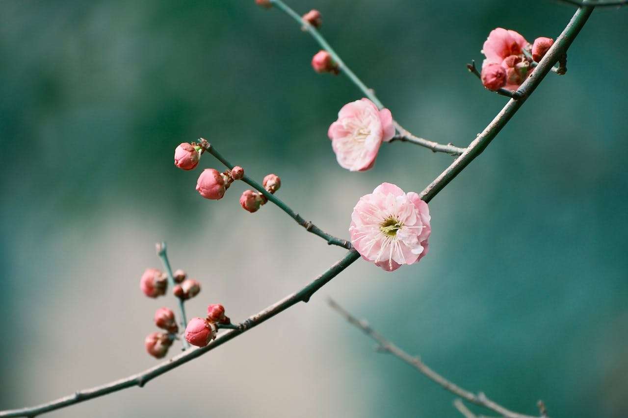 小学英语作文大全：5篇“我喜欢的食物”英语作文+翻译+写作技巧