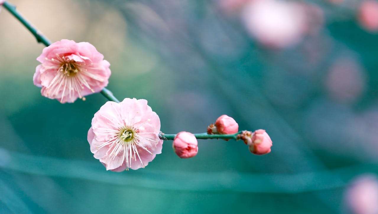 小学英语写作指南：5篇“一次有趣的旅行”英语作文全收录