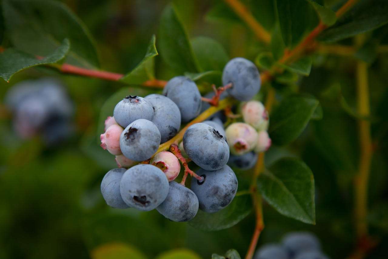小学英语作文怎么写？5篇“我的家庭”英语作文带你入门