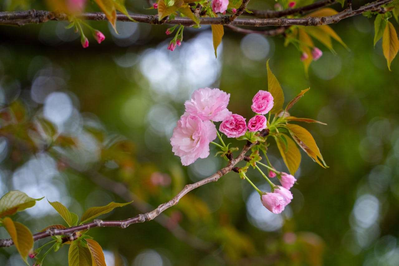 小学生必看！10篇经典英语作文合集，提升写作从这里开始
