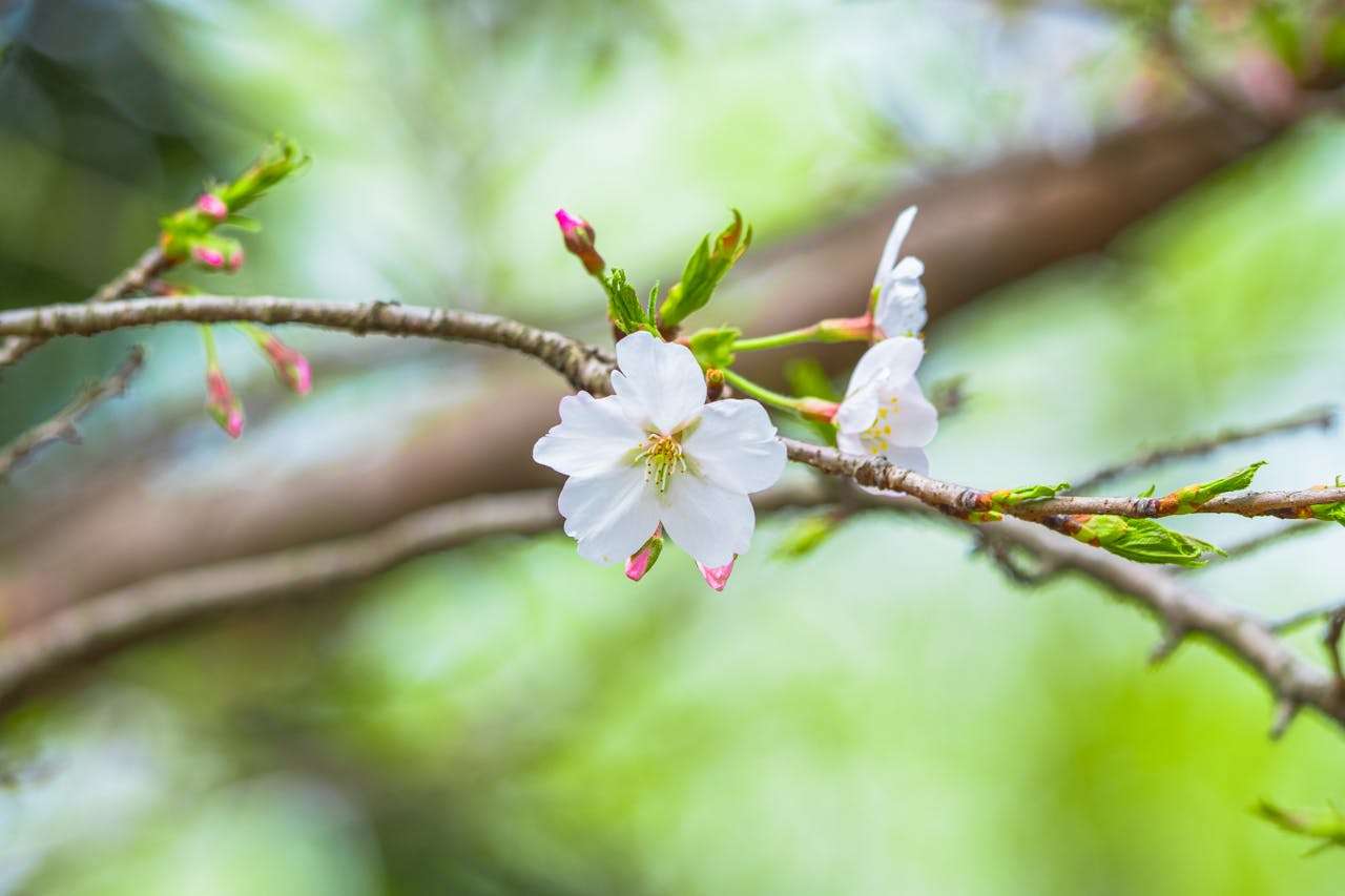 小学生英语写作素材：我的一天英语作文5篇，日常表达全掌握！