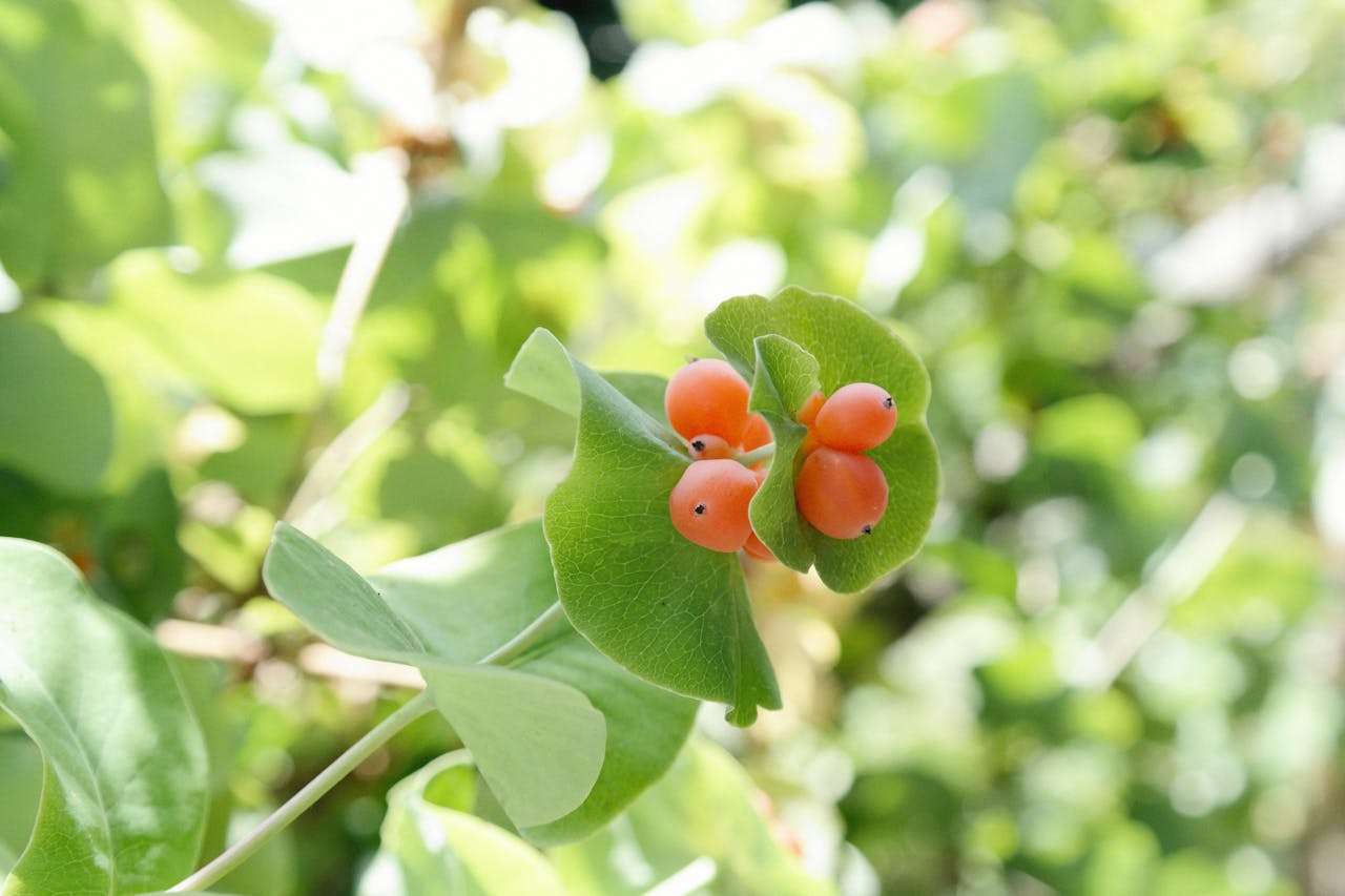 我的假期生活：5篇初中英语作文+实用表达汇总