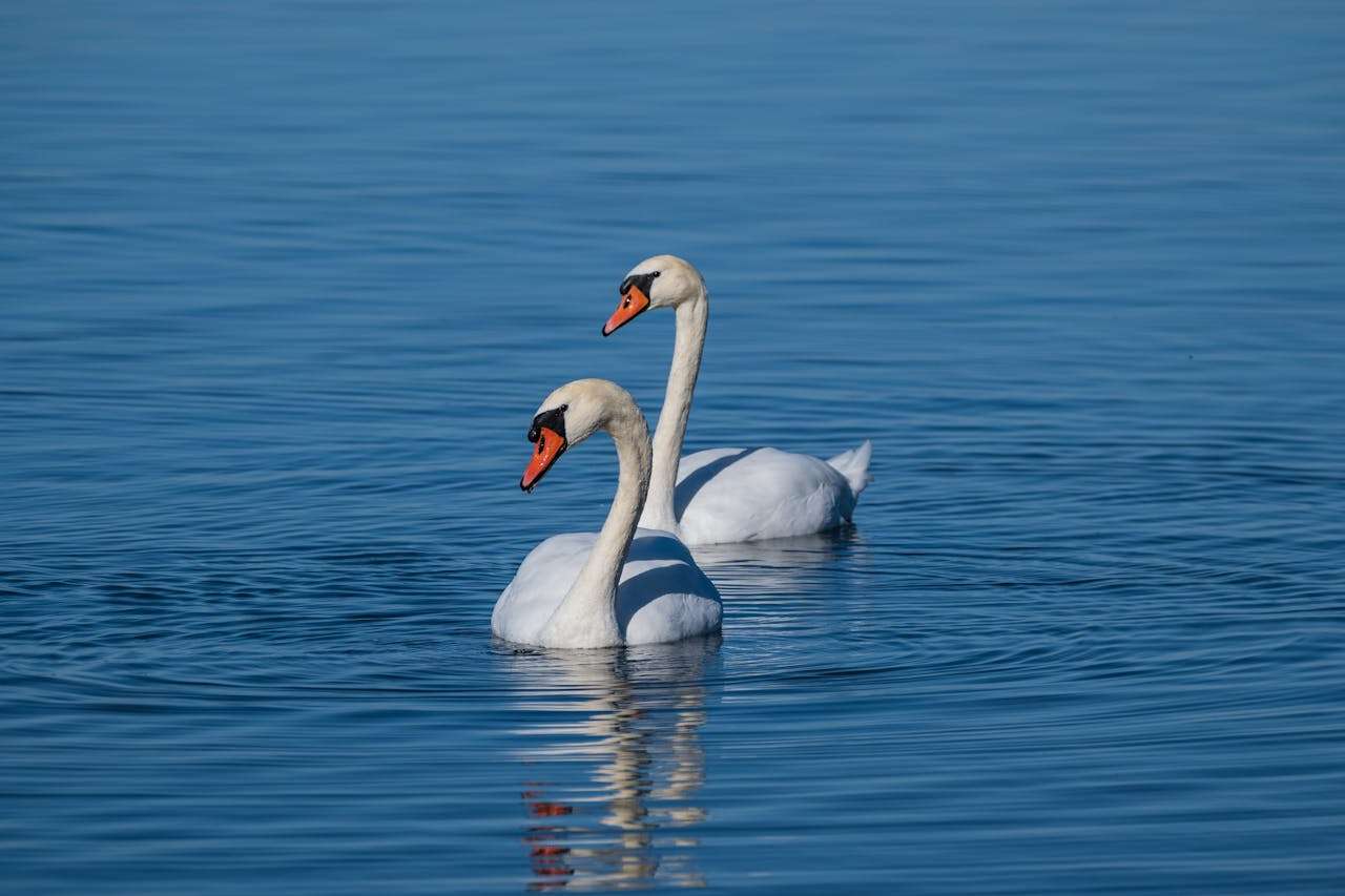 环保主题英语作文3篇：初中生必学的可持续发展话题写作