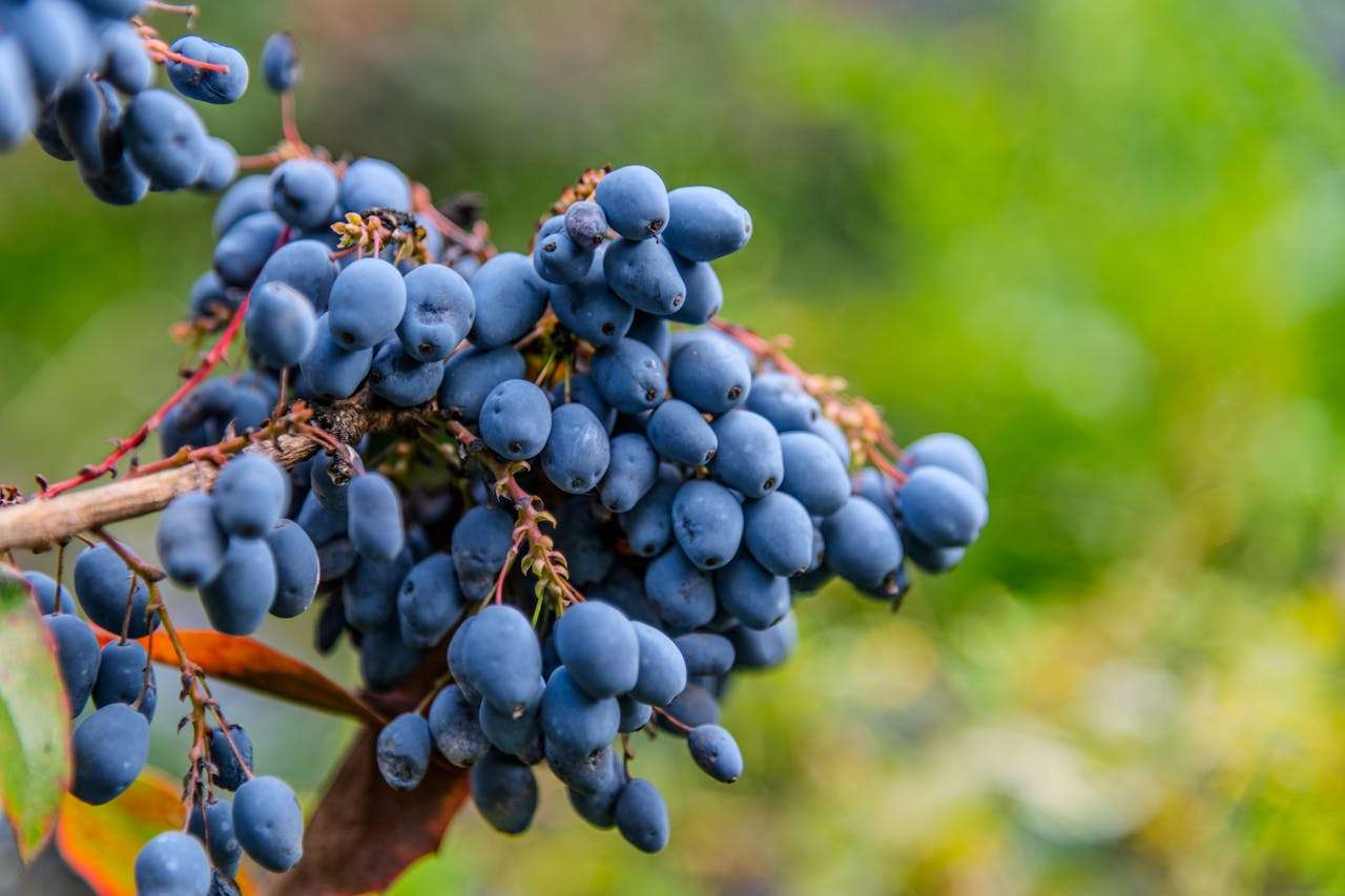 我的梦想职业：3篇初中英语作文+写作技巧解析