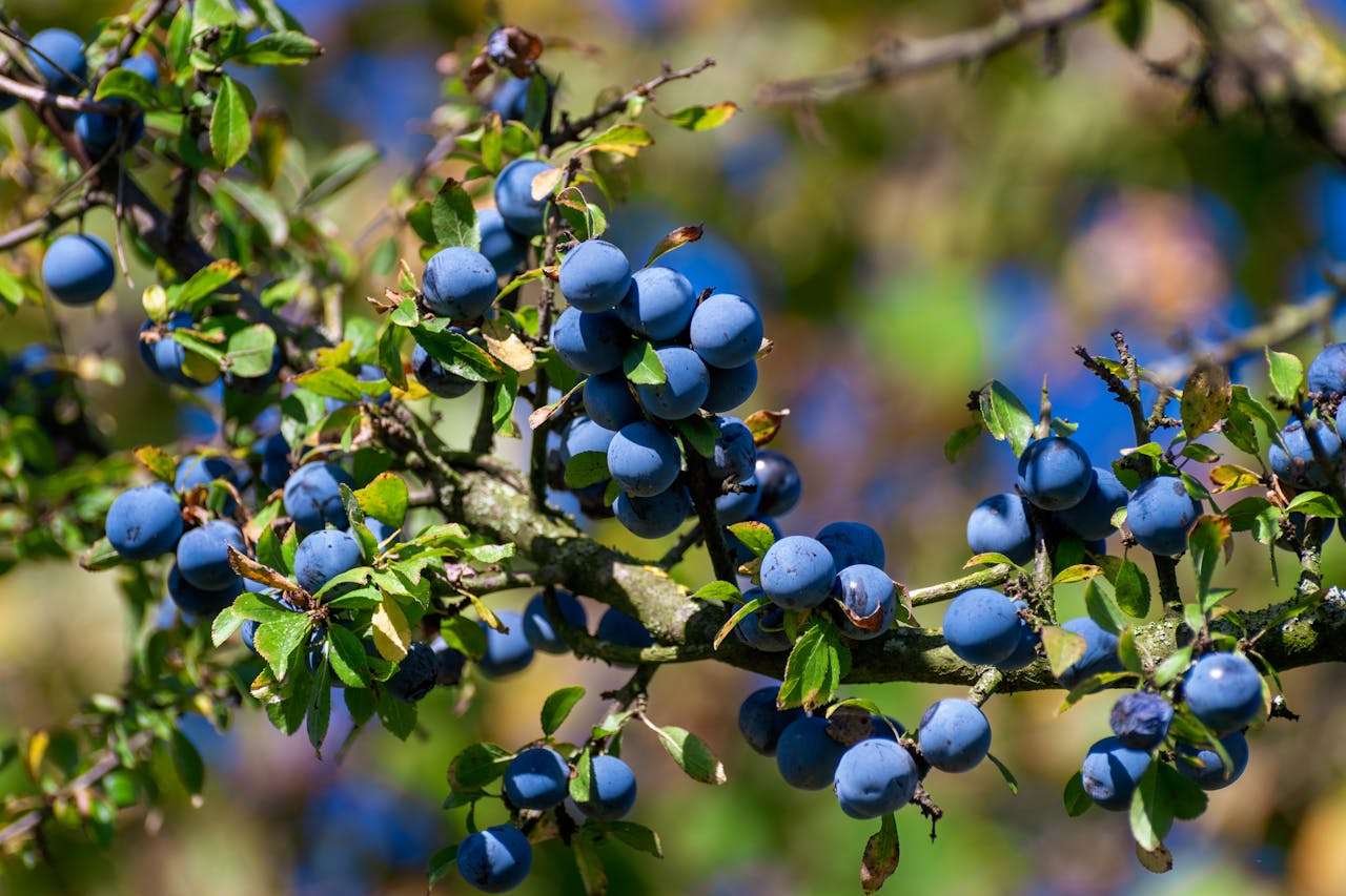 初中英语作文10篇：涵盖常考话题，高分模板轻松掌握
