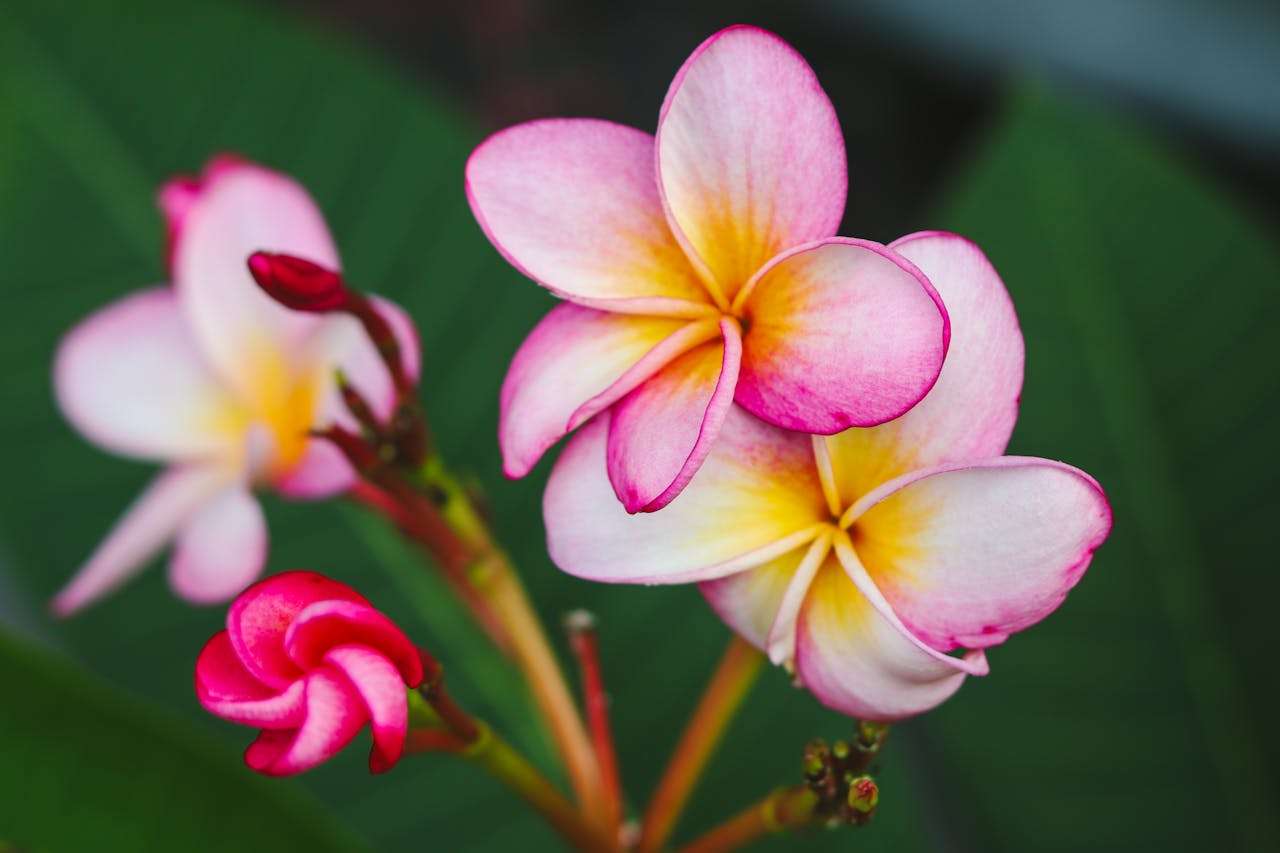 我的一天：4篇初中英语日记+时间表达与语法解析