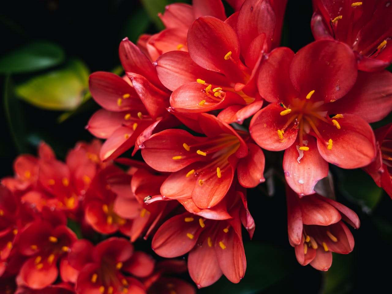 我的梦想职业：3篇初中英语作文+翻译与写作技巧