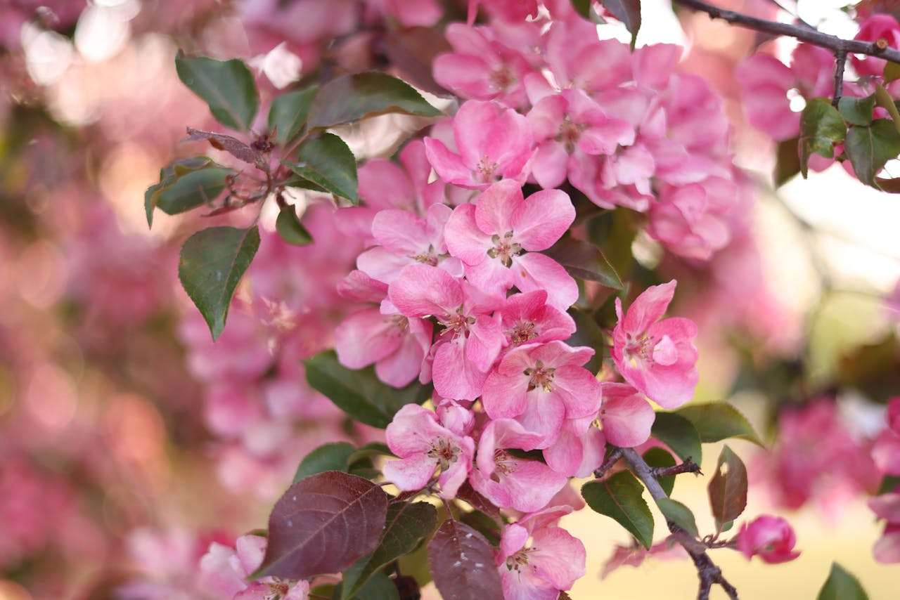 如何写好英语记叙文？5篇初中生优秀英语作文解析