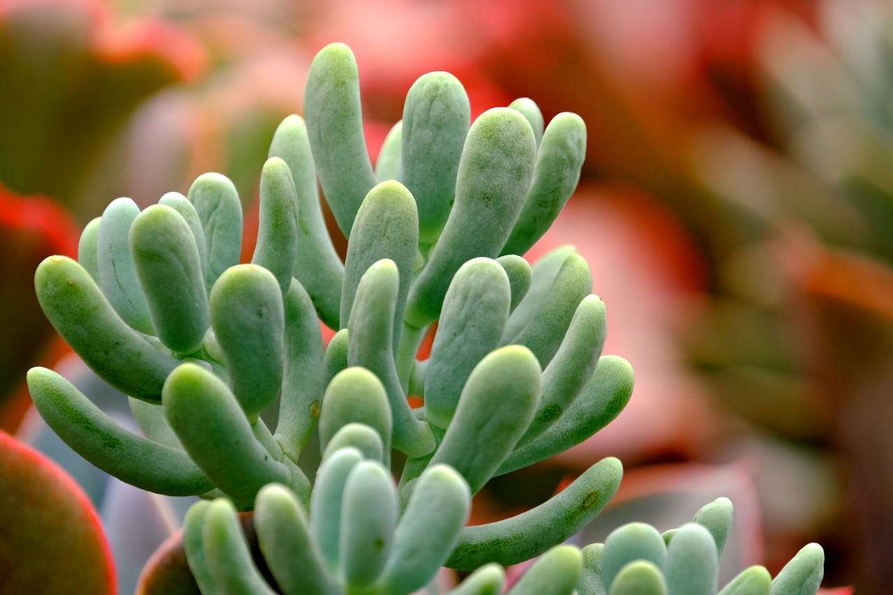 我的暑假生活英语作文6篇：旅行、学习与成长记录