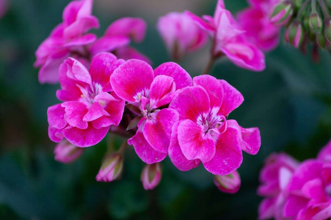 介绍我的朋友：3篇初中英语作文，学会描述人物特征