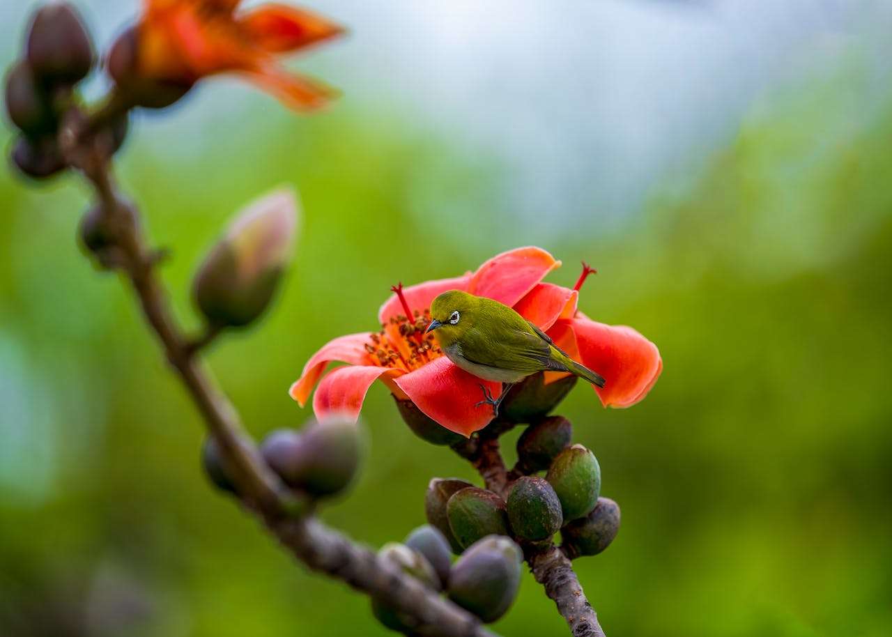 初中英语作文10篇：精选常用话题，助你轻松提分