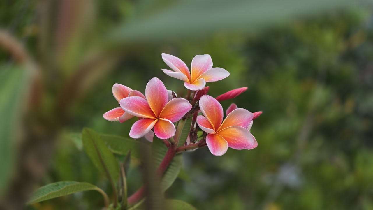 我的假期生活：5篇初中英语作文精选