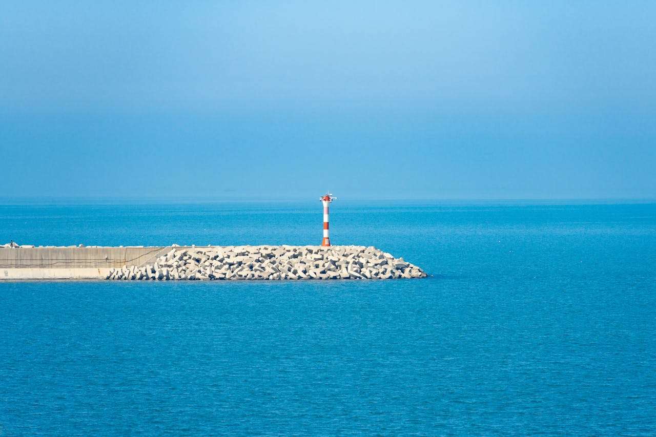 环保从我做起：初中英语作文4篇+翻译与写作指导