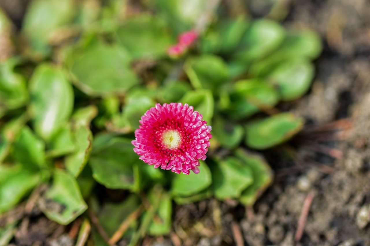 学校活动英语作文6篇：运动会、艺术节、春游写作全攻略