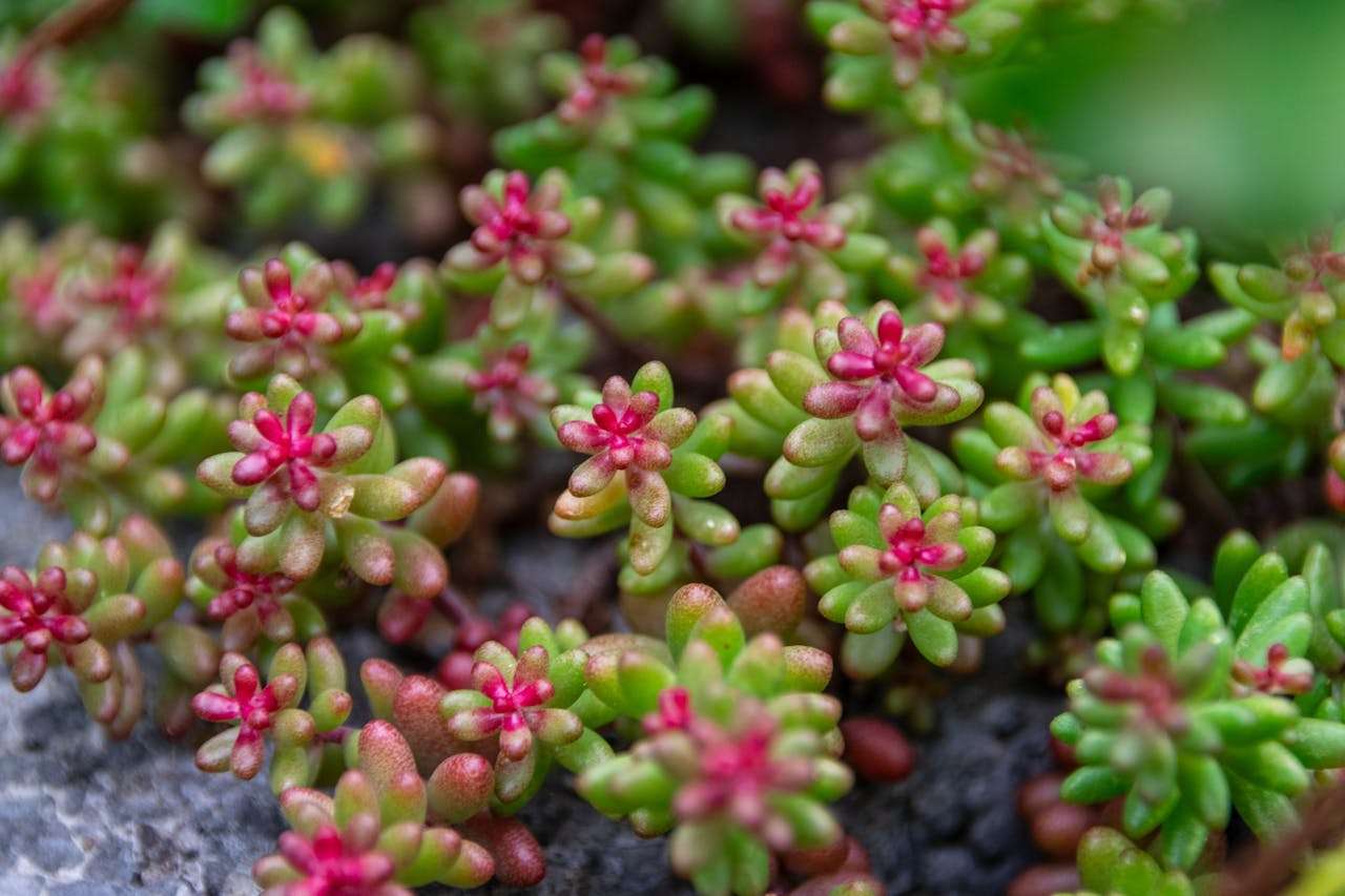 旅行经历怎么写？5篇初中英语游记作文分享