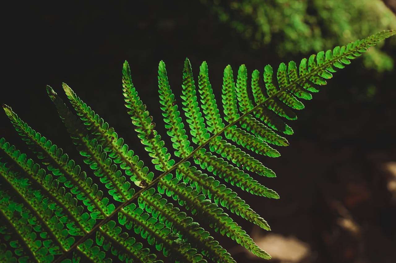 我的老师：4篇感人初中英语作文+情感表达技巧